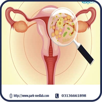 آزمایش ادرار در زمان قاعدگی